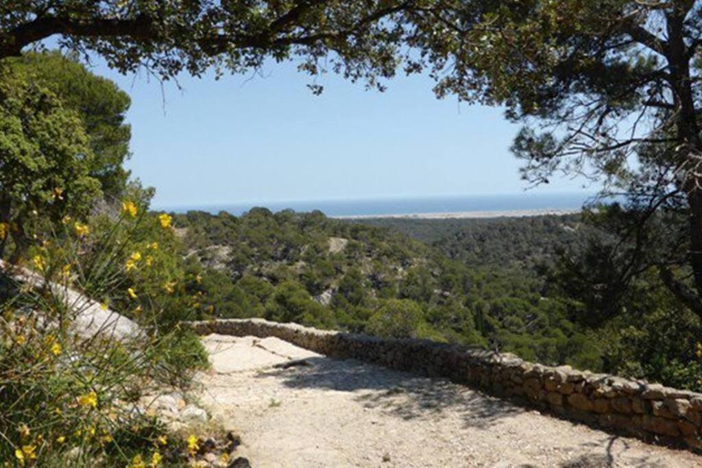 Entre Mer Et Garrigue Saint-Pierre-la-Mer  Kültér fotó