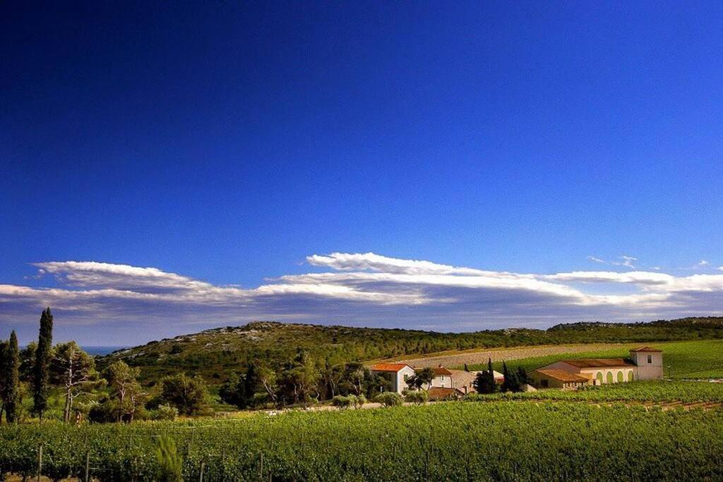 Entre Mer Et Garrigue Saint-Pierre-la-Mer  Kültér fotó