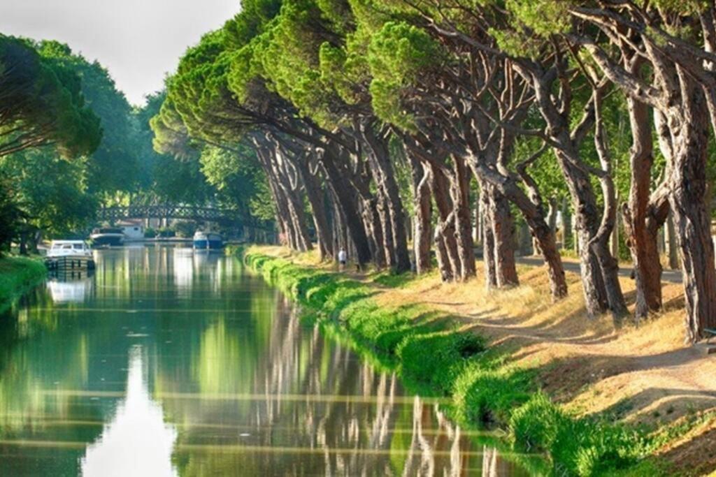Entre Mer Et Garrigue Saint-Pierre-la-Mer  Kültér fotó