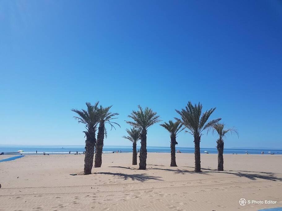 Entre Mer Et Garrigue Saint-Pierre-la-Mer  Kültér fotó