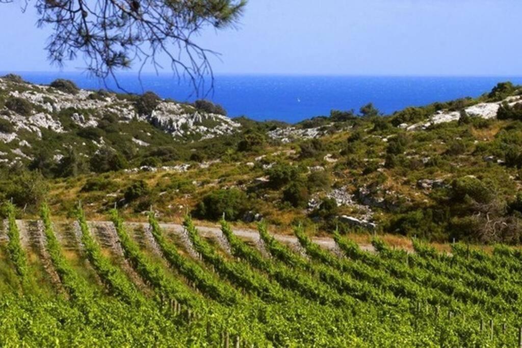 Entre Mer Et Garrigue Saint-Pierre-la-Mer  Kültér fotó